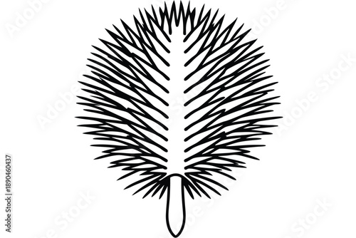 bottlebrush silhouette line art vector illustration