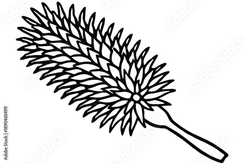 bottlebrush silhouette line art vector illustration