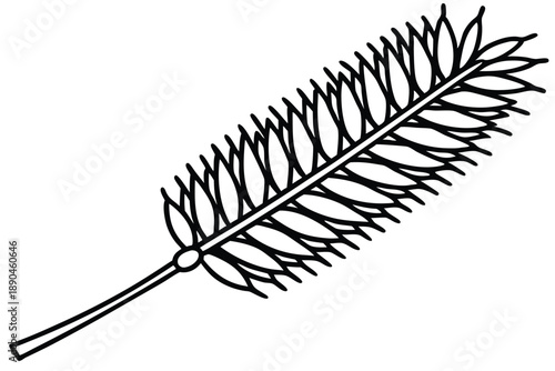 bottlebrush silhouette line art vector illustration