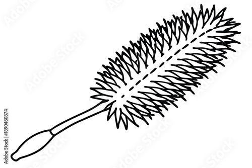 bottlebrush silhouette line art vector illustration