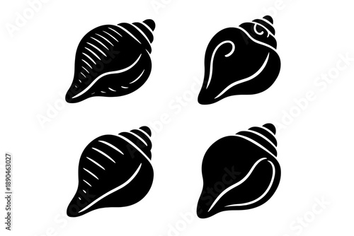 Four distinct black and white tropical sea shells and conch shells graphic elements