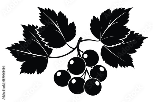 blackcurrant silhouette line art vector illustration