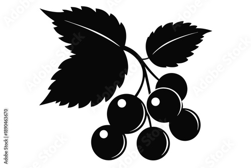 blackcurrant silhouette line art vector illustration