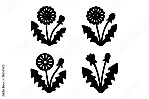 Set of four simple black and white dandelion flower icons representing different stages of growth
