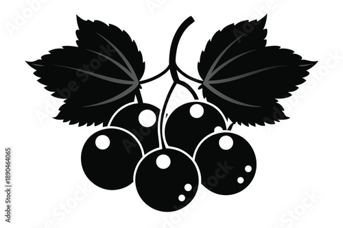 blackcurrant silhouette line art vector illustration