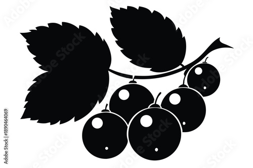 blackcurrant silhouette line art vector illustration