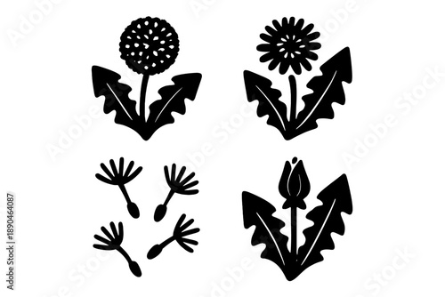 Collection of stylized dandelion life cycle stages including blooming flower, closed bud, mature seed head, and flying seeds