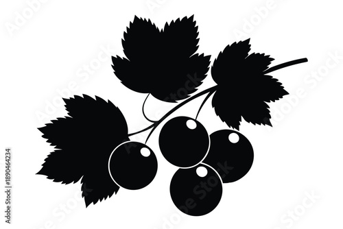 blackcurrant silhouette line art vector illustration