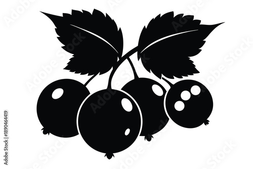 blackcurrant silhouette line art vector illustration