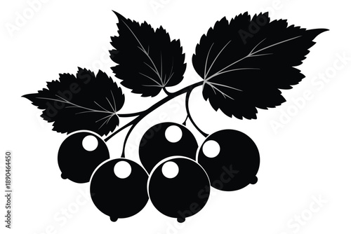 blackcurrant silhouette line art vector illustration