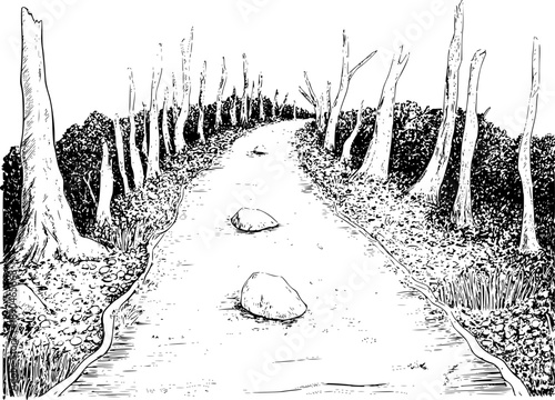 Silhouette of a stag with large antlers standing proudly a white background deer animal 1