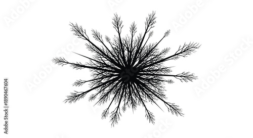 An abstract dark fractal design resembling a burst of branches or roots against a white backdrop silhouette high quality professional detailed