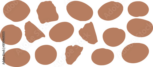 Pinto beans isolated on white background with clipping path