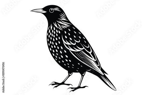 european starling silhouette line art vector illustration