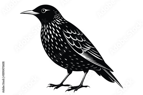 european starling silhouette line art vector illustration