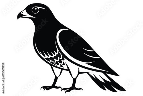 eurasian sparrowhawk silhouette line art vector illustration