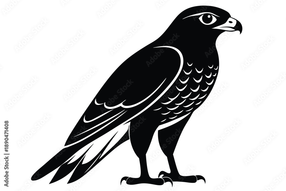 Fototapeta premium eurasian sparrowhawk silhouette line art vector illustration