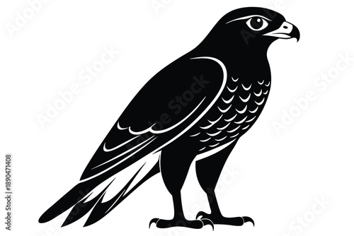 eurasian sparrowhawk silhouette line art vector illustration