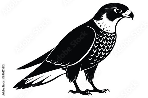 eurasian sparrowhawk silhouette line art vector illustration