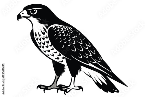 eurasian sparrowhawk silhouette line art vector illustration