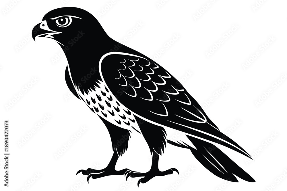 Fototapeta premium eurasian sparrowhawk silhouette line art vector illustration