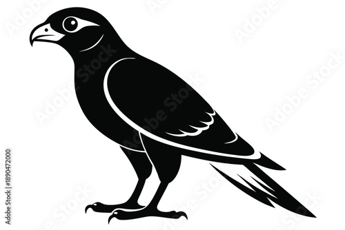 eurasian sparrowhawk silhouette line art vector illustration