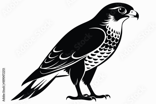 eurasian sparrowhawk silhouette line art vector illustration