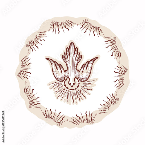 Christian holy spirit dove religious card illustration. Hand drawn black and white vector motif for Easter, church, bible study sticker. Editable pentecost acts drawing style for faith prayer time