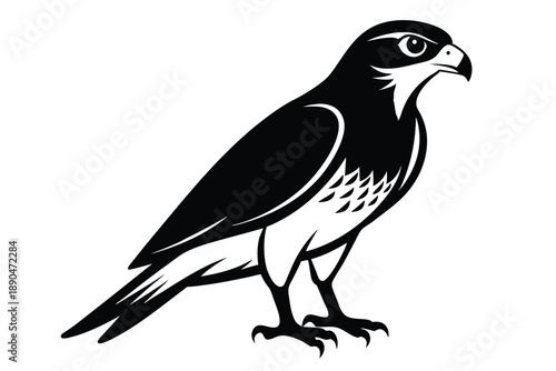 eurasian sparrowhawk silhouette line art vector illustration
