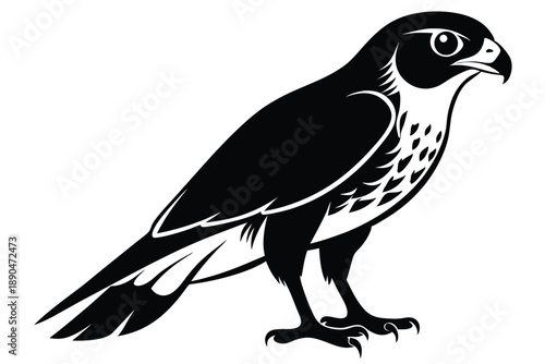 eurasian sparrowhawk silhouette line art vector illustration