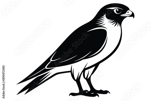 eurasian sparrowhawk silhouette line art vector illustration