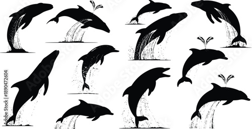 dolphin illustration, jumping dolphin, swimming dolphin, dolphin splash, black silhouette, ocean animal, marine life, dolphin vector, 