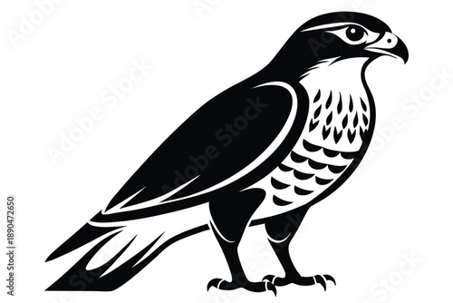eurasian sparrowhawk silhouette line art vector illustration