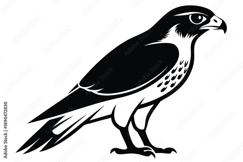 Fototapeta premium eurasian sparrowhawk silhouette line art vector illustration