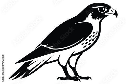 eurasian sparrowhawk silhouette line art vector illustration