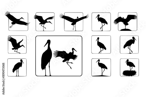 A set of stork silhouette on a separate white background. Birds
