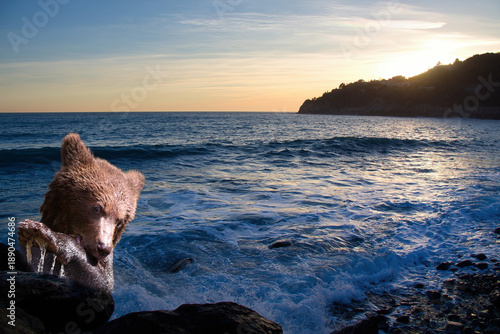 Surreal absurdity. A little bear in the sea. Sunset.