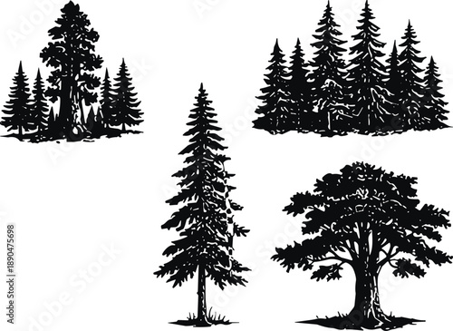 tree silhouette, coniferous trees, deciduous tree, forest illustration, black and white, nature vector, tree group, single tree, tree design, tree artwork, tree drawing, 