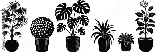 vector illustration of a plant