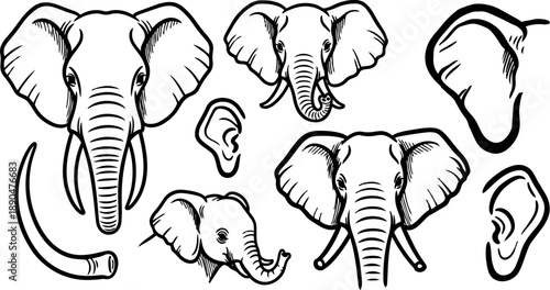 Hand drawn black and white elephant head sketches with ears and tusks isolated vector art drawing set