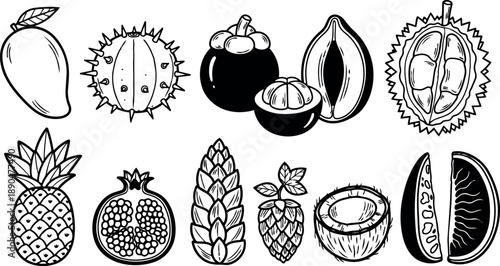 Black and white vector artwork featuring tropical fruit illustrations with detailed line art showcasing exotic edible plants and harvests