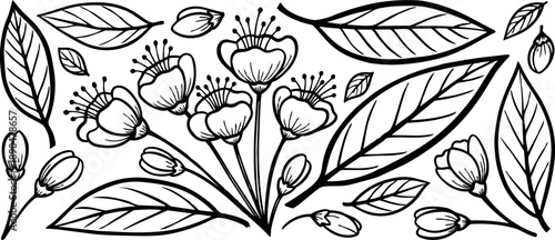 Black and white line art of blooming cherry blossom flowers with detailed leaves and buds in minimalist botanical style