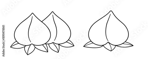 Set OF Longevity peach buns outline and templates
Chinese birthday peach of immortality coloring page.