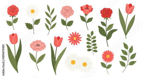 Beautiful Collection of Assorted Floral Illustrations Featuring Tulips, Roses, Daisies, and Delicate Greenery, Perfect for Various Creative Projects
