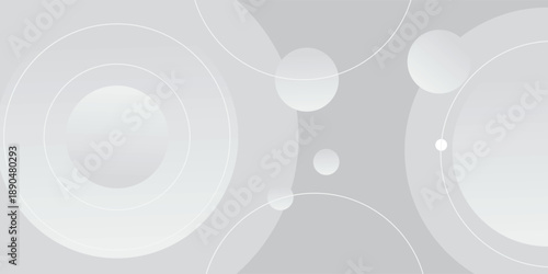 Abstract white and gray color background. Eps10 vector