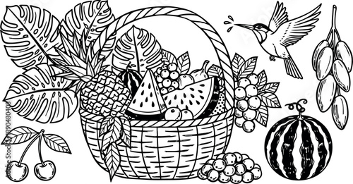 Hand drawn black and white line art of tropical fruit basket with pineapple watermelon grapes and hummingbird