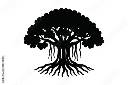 Majestic Banyan tree silhouette with hanging aerial roots and spreading ground roots