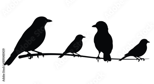 Four birds perched on a branch a striking black silhouette