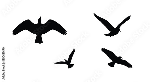 Four birds in flight against a white background a striking silhouette