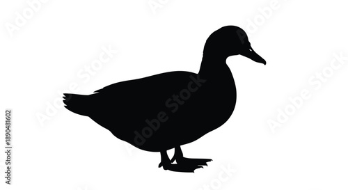 A striking black duck profile against a white background silhouette
